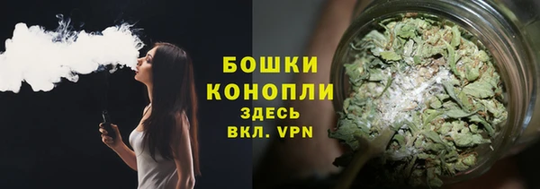 PSILOCYBIN Алексеевка