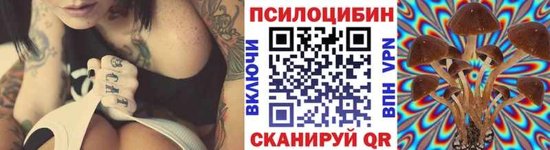 OMG ONION  Новопавловск  Галлюциногенные грибы Psilocybine cubensis 